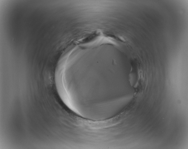 X0000066100039200603241529