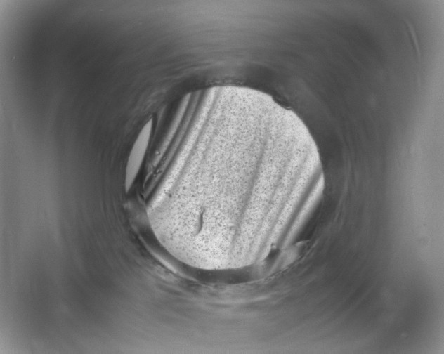 X0000066100041200603241529