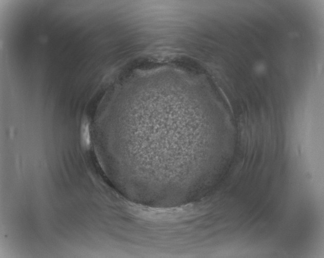 X0000066100042200603241529