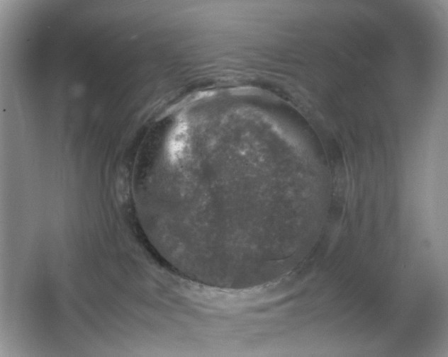 X0000066100043200603241529