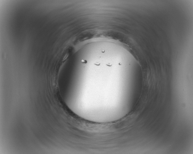 X0000066100044200603241529