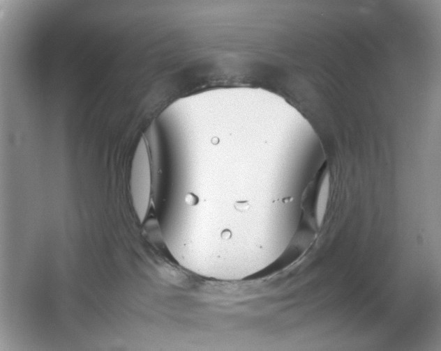 X0000066100045200603241529