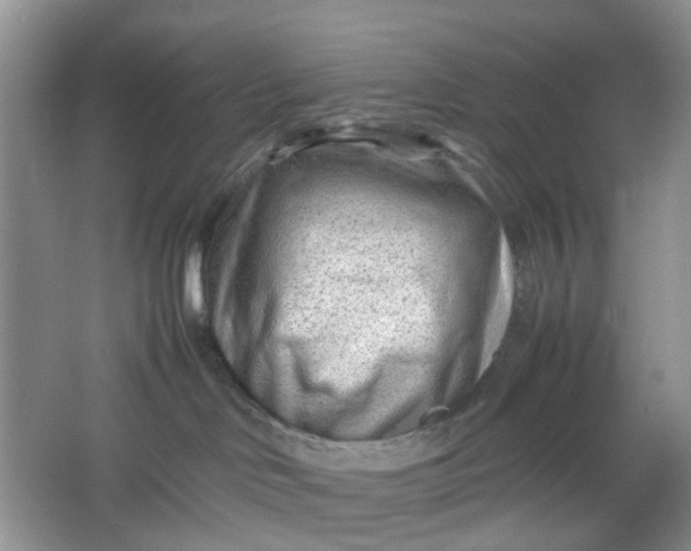 X0000066100046200603241529