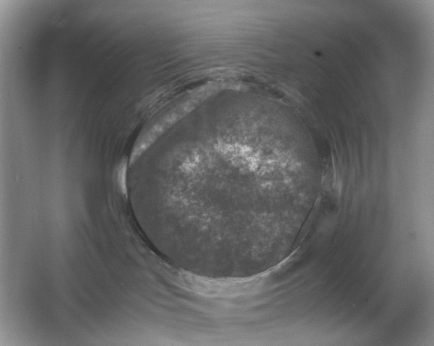 X0000066100047200603241529