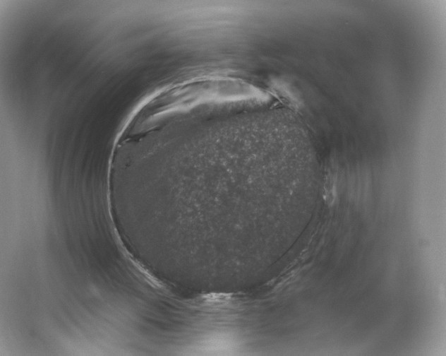 X0000066100052200603241529