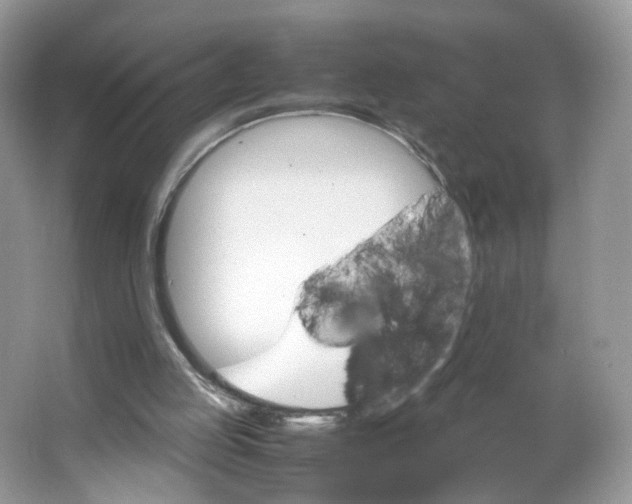 X0000066100053200603241529