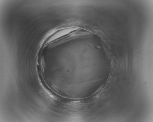 X0000066100054200603241529