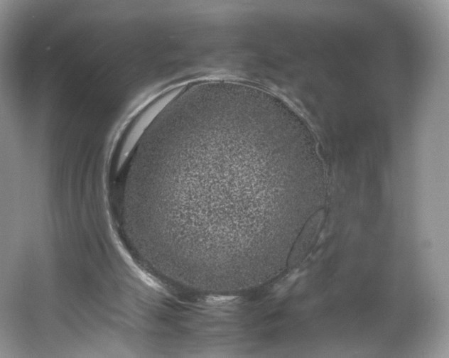 X0000066100055200603241529