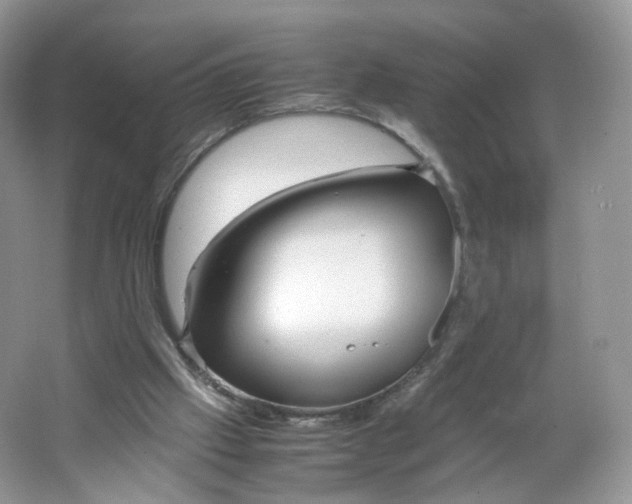 X0000066100057200603241529