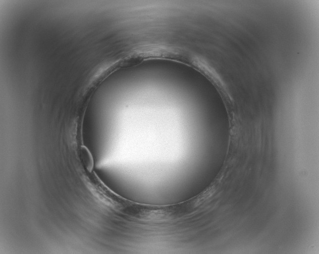 X0000066100058200603241529