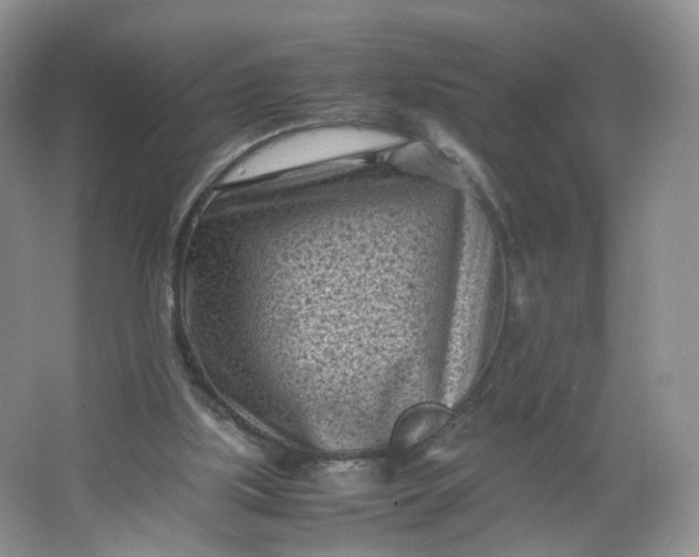 X0000066100059200603241529