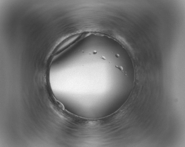 X0000066100060200603241529