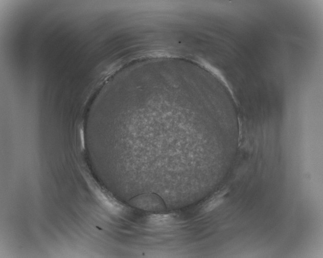 X0000066100061200603241529