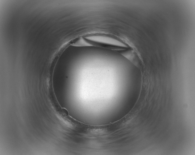 X0000066100063200603241529