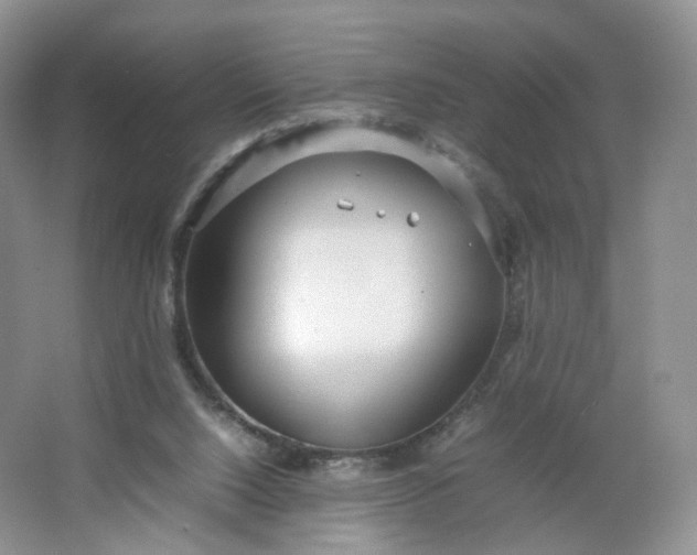 X0000066100064200603241529