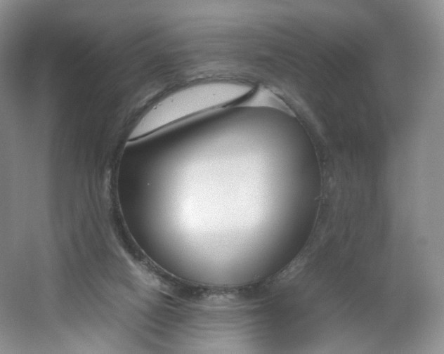 X0000066100066200603241529