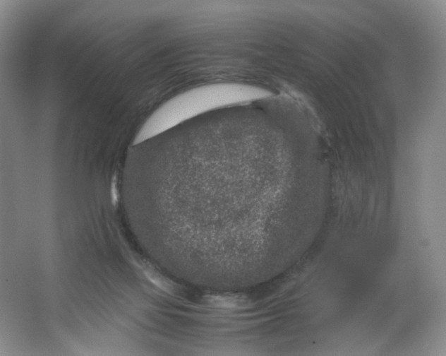 X0000066100069200603241529