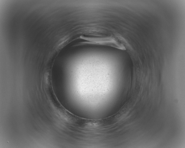 X0000066100071200603241529