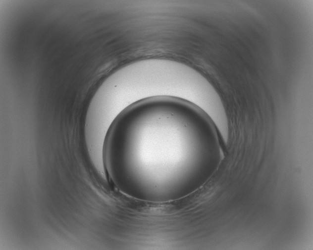 X0000066100072200603241529