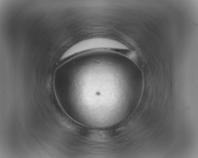 X0000066100073200603241529