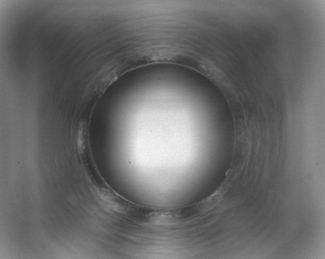 X0000066100074200603241529