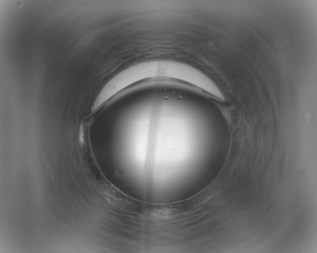 X0000066100075200603241529