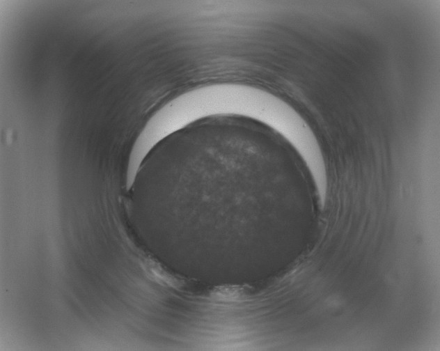 X0000066100076200603241529