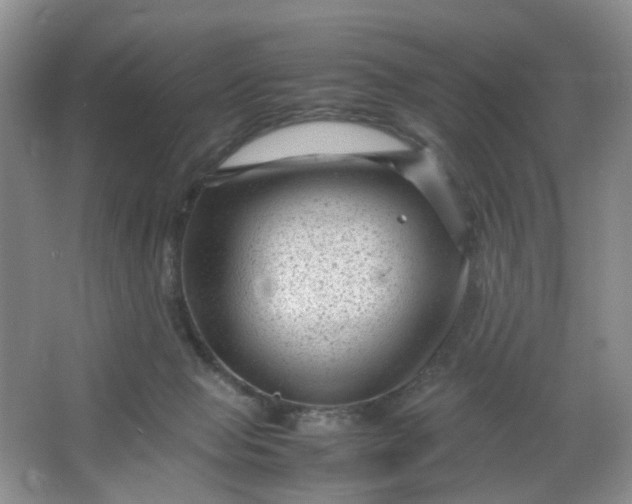 X0000066100077200603241529