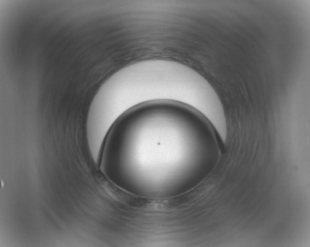 X0000066100080200603241529