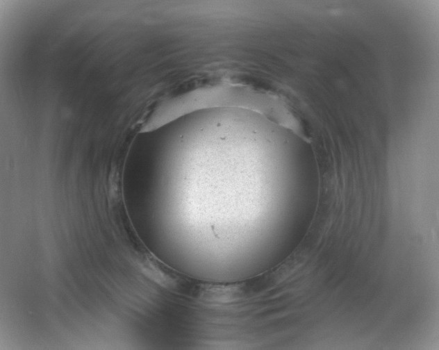 X0000066100081200603241529