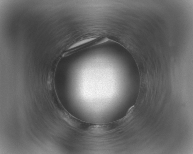 X0000066100082200603241529