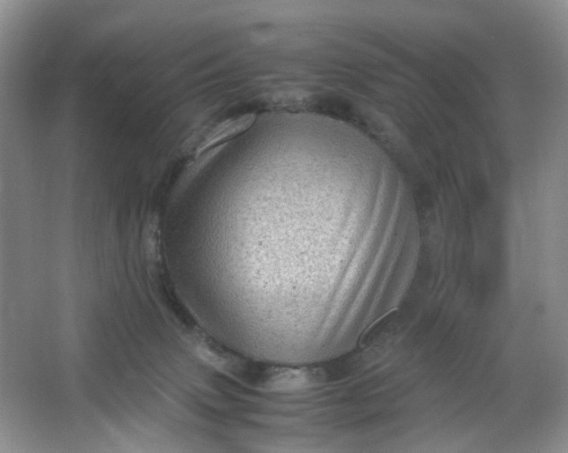 X0000066100083200603241529