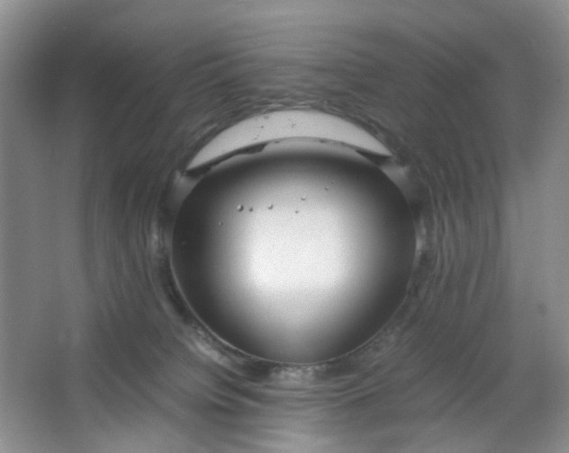 X0000066100084200603241529