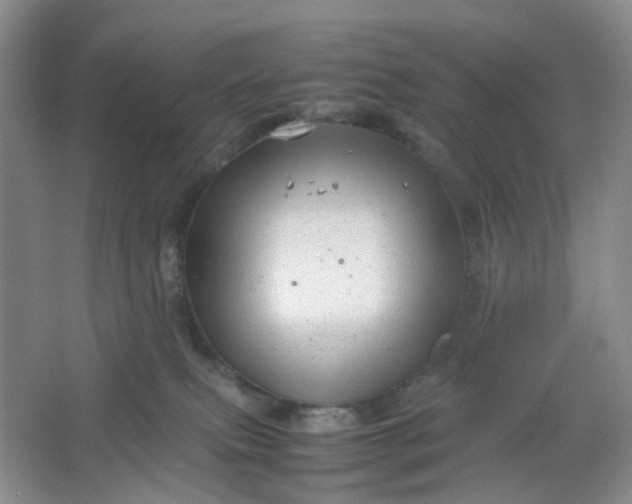 X0000066100087200603241529