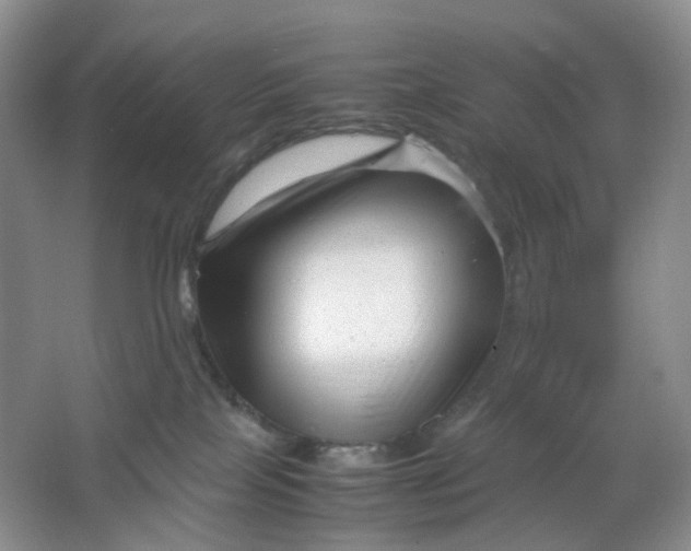 X0000066100089200603241529