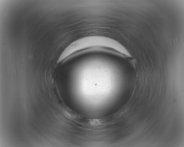 X0000066100091200603241529