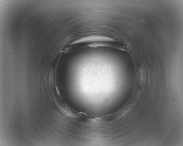 X0000066100092200603241529