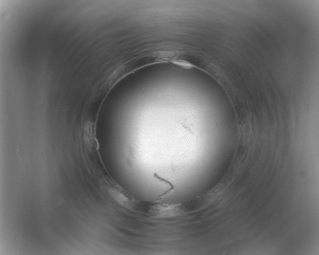 X0000066100093200603241529