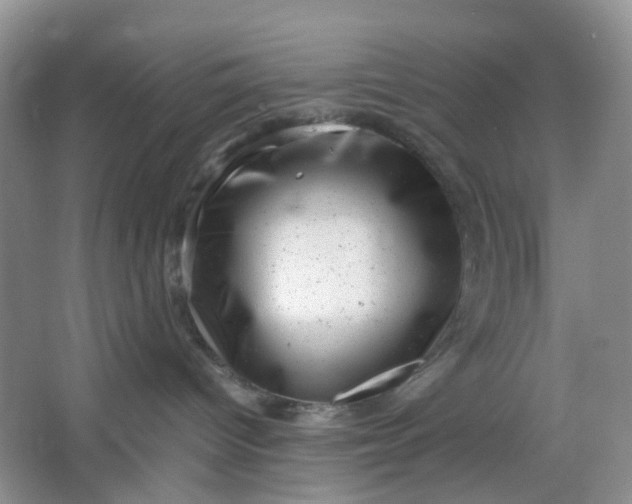 X0000066100096200603241529