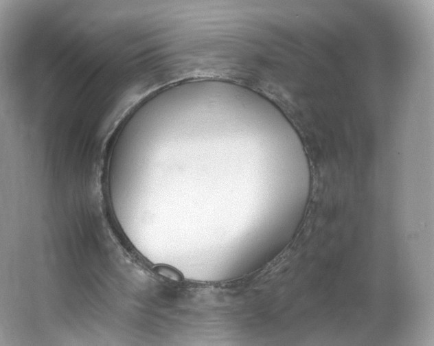 X0000066100098200603241528