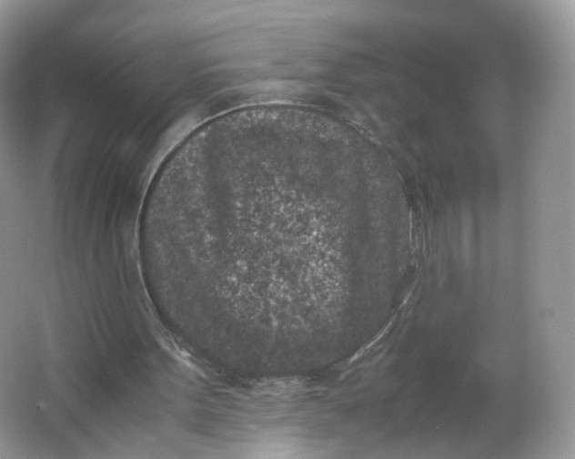 X0000066100099200603241528