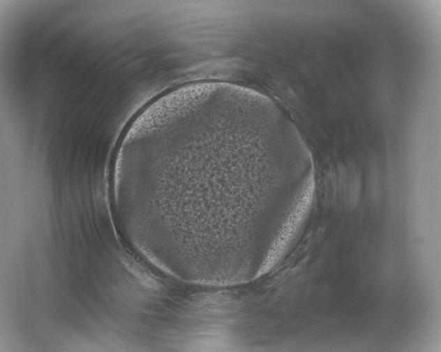 X0000066100100200603241528