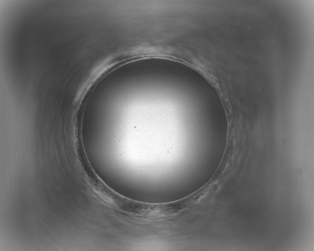 X0000066100103200603241528