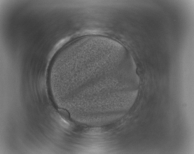 X0000066100104200603241528