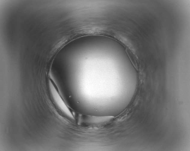 X0000066100105200603241528