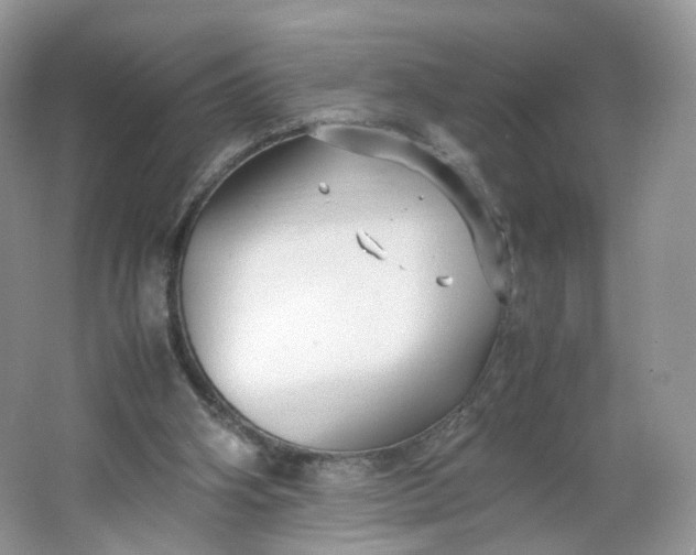 X0000066100106200603241528