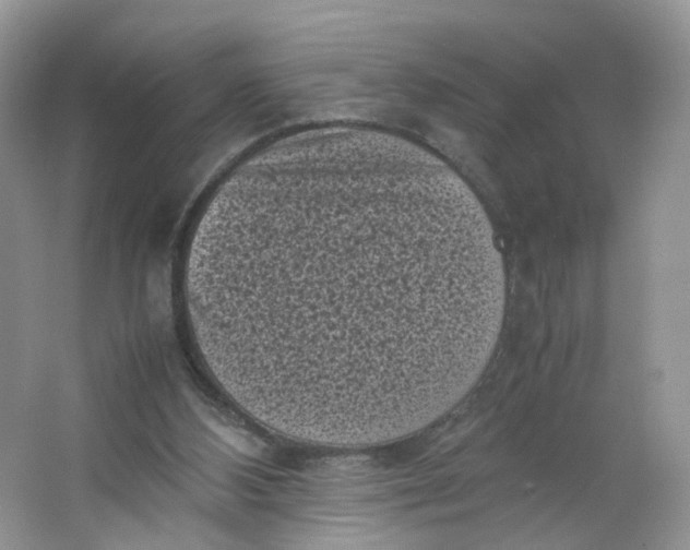 X0000066100108200603241528