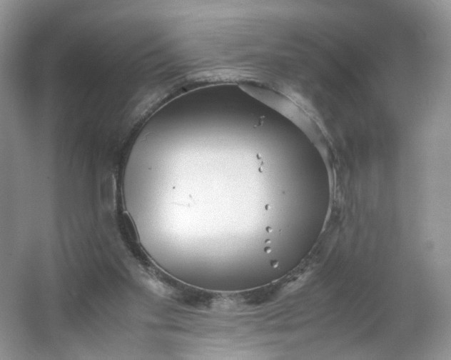 X0000066100109200603241528