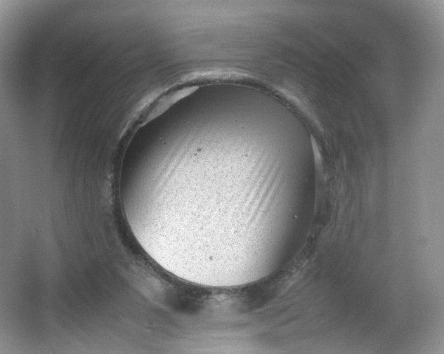 X0000066100111200603241528