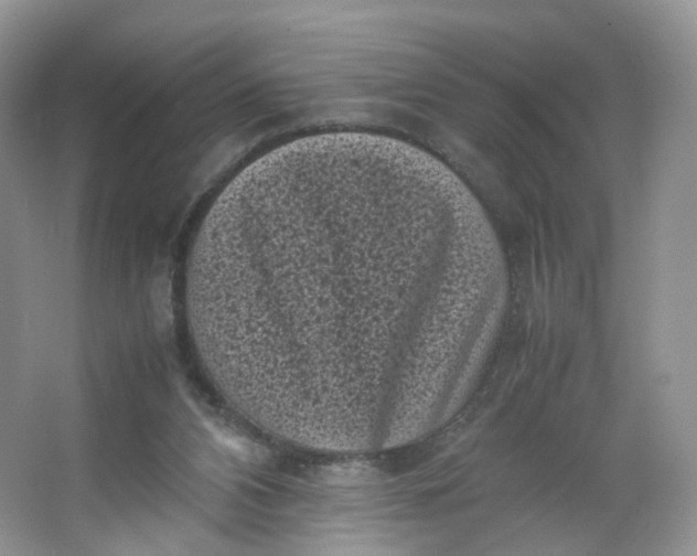 X0000066100112200603241528